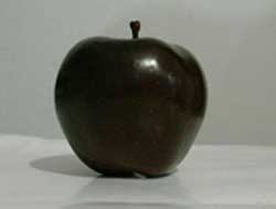 نهال سیب جرومین(سیاه) 